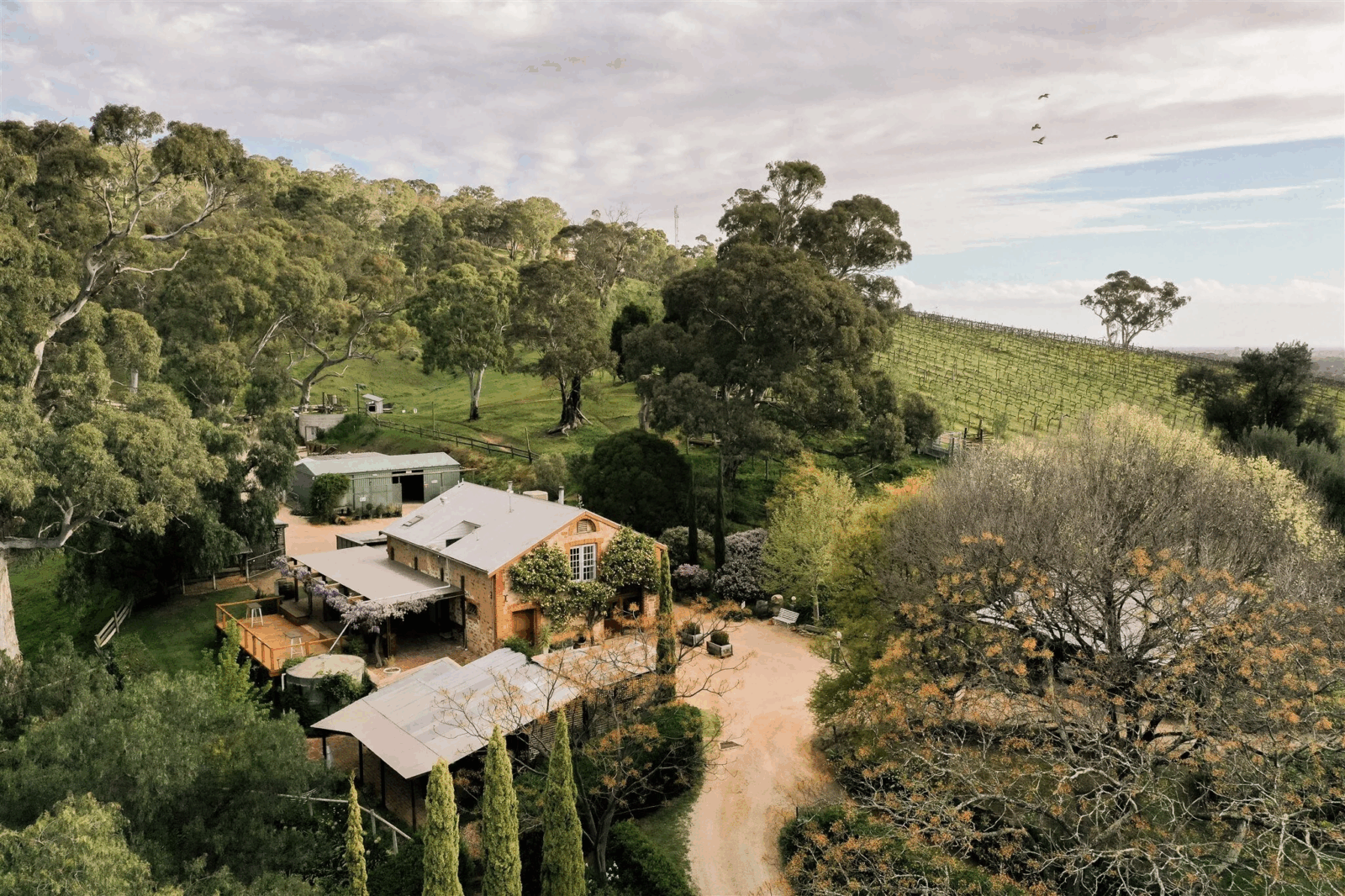 Aerial photograph of Marybank Estate wedding venue nestled amongst lush tree canopy in the Adelaide Hills, South Australia.