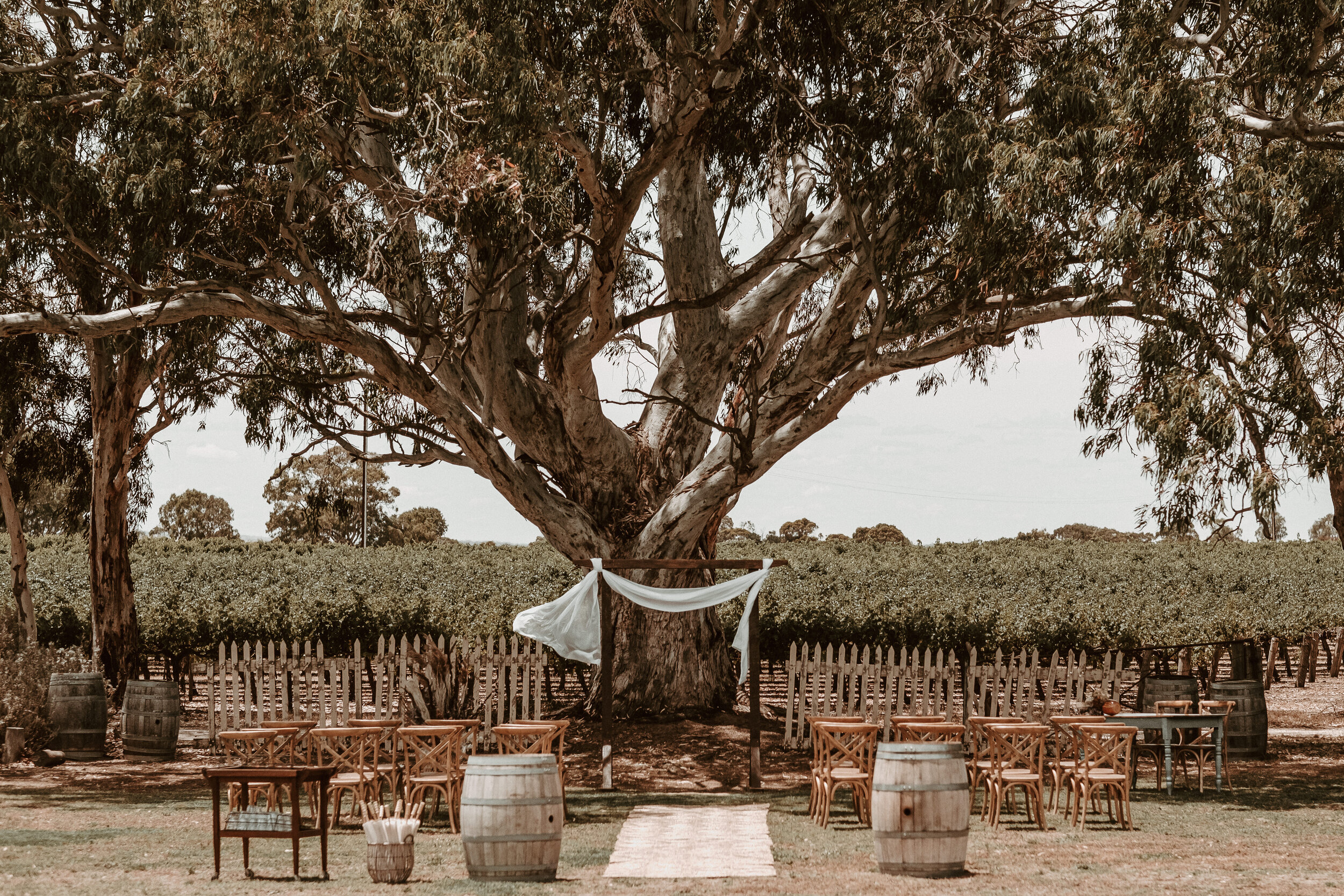 chelsea-dan-winehouse-rustic-adelaide-wedding-20201230-52.jpg