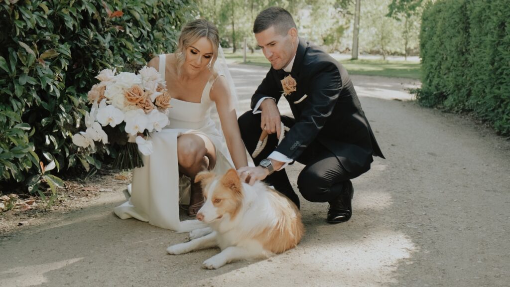 a bride and groom pet their dog on a hedge-lined driveway at Howard Vineyard