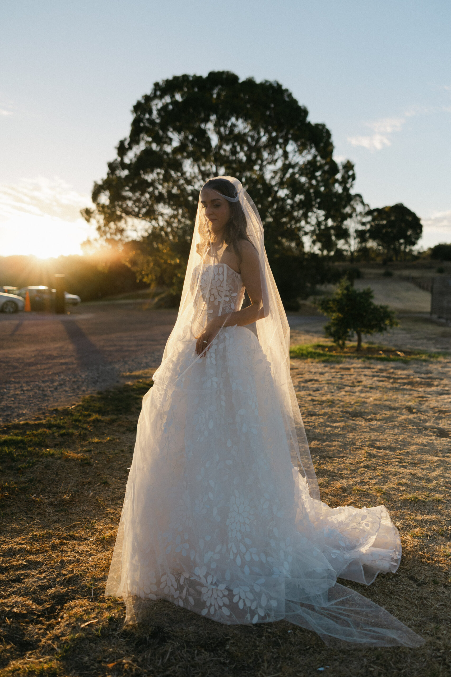 digital wedding photography, bride in ballgown with veil standing at sunset, sharp detail on lace gown and long train, South Australian countryside, Evelina Katarzyński