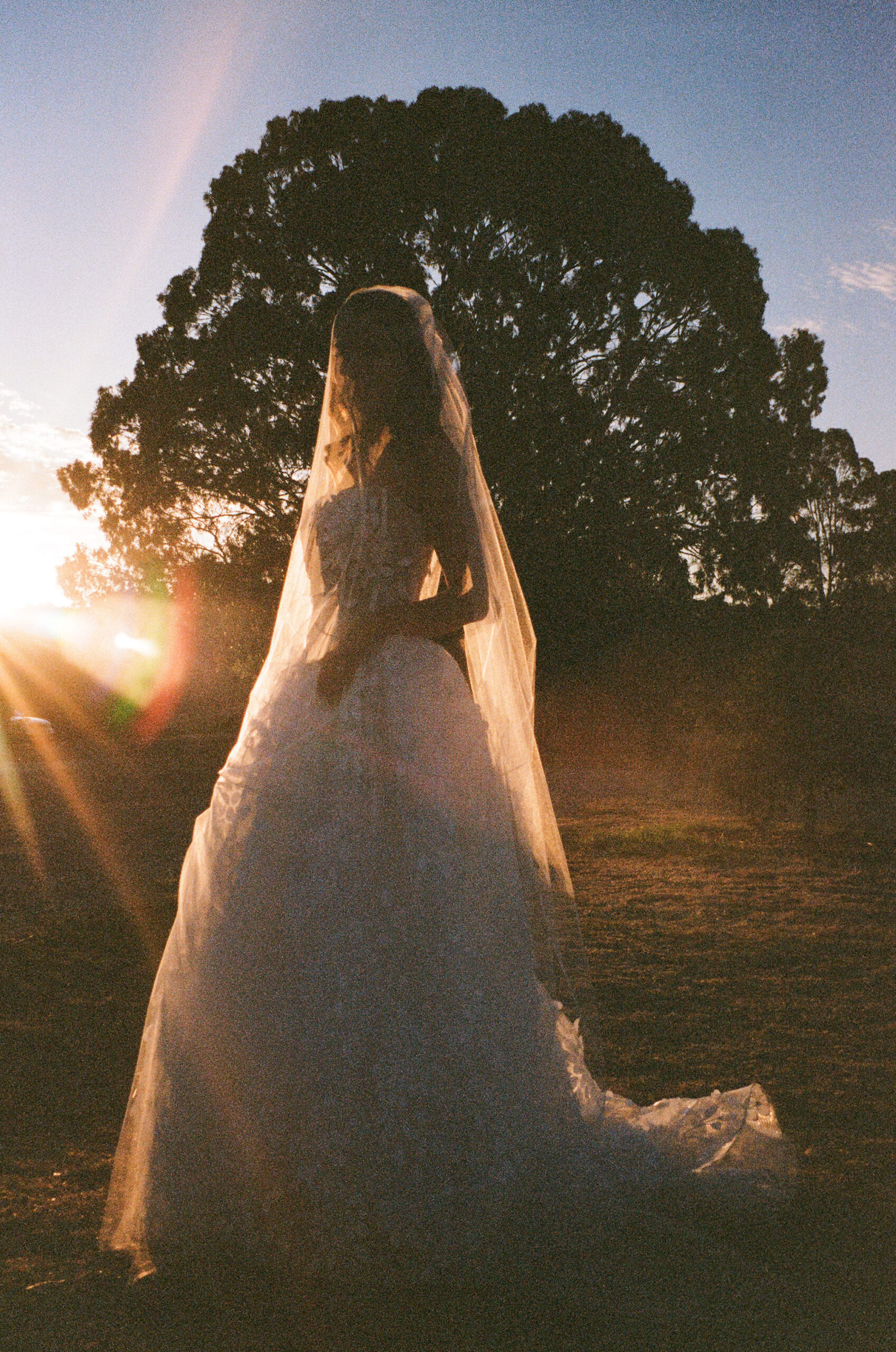 35mm film wedding photography, bride in ballgown with veil standing at golden hour, lens flare and warm film tones against silhouetted trees, Evelina Katarzyński