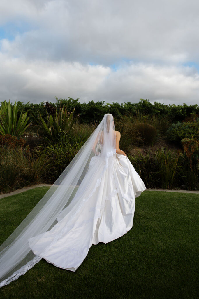 Bride walking across the lawn at Beresford Estate in a full cathedral veil, hedging framing the background.